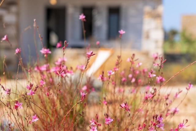 Beach House Antiparos Bagian luar foto